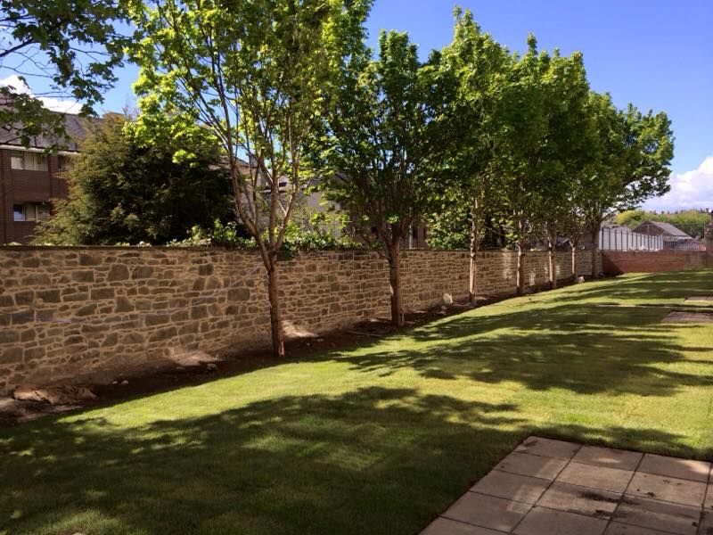 Stonemason working on historic stone wall in Edinburgh, expert stone craftsmanship, traditional masonry services.